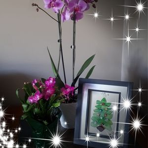 Meet your Posher, Jocelyn